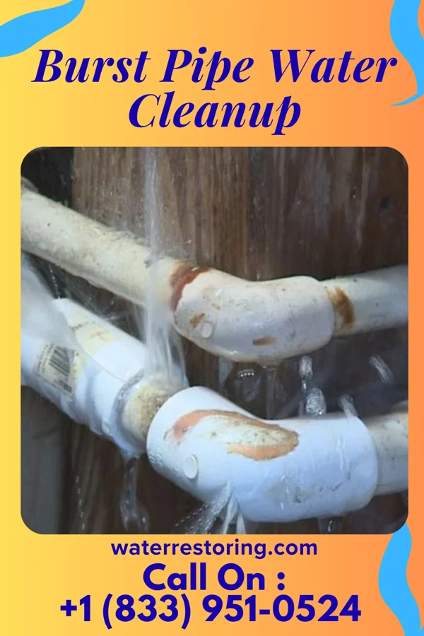 Burst Pipe Water Cleanup in Hutsonville, IL