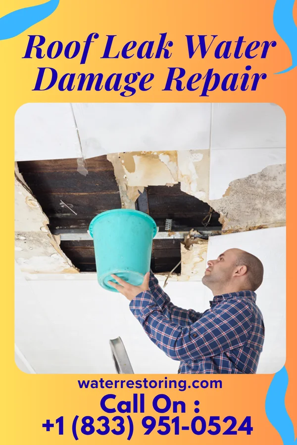 Roof Leak Water Damage Repair in Hutsonville, IL