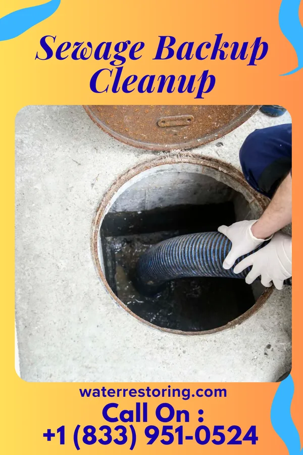 Sewage Backup Cleanup in Hutsonville, IL