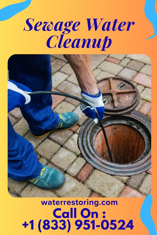 Sewage Water Cleanup in Hutsonville, IL